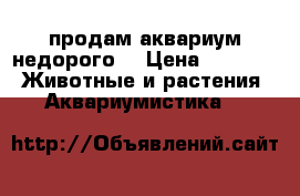 продам аквариум недорого  › Цена ­ 1 500 -  Животные и растения » Аквариумистика   